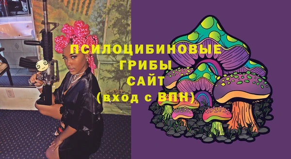 стаф Богданович